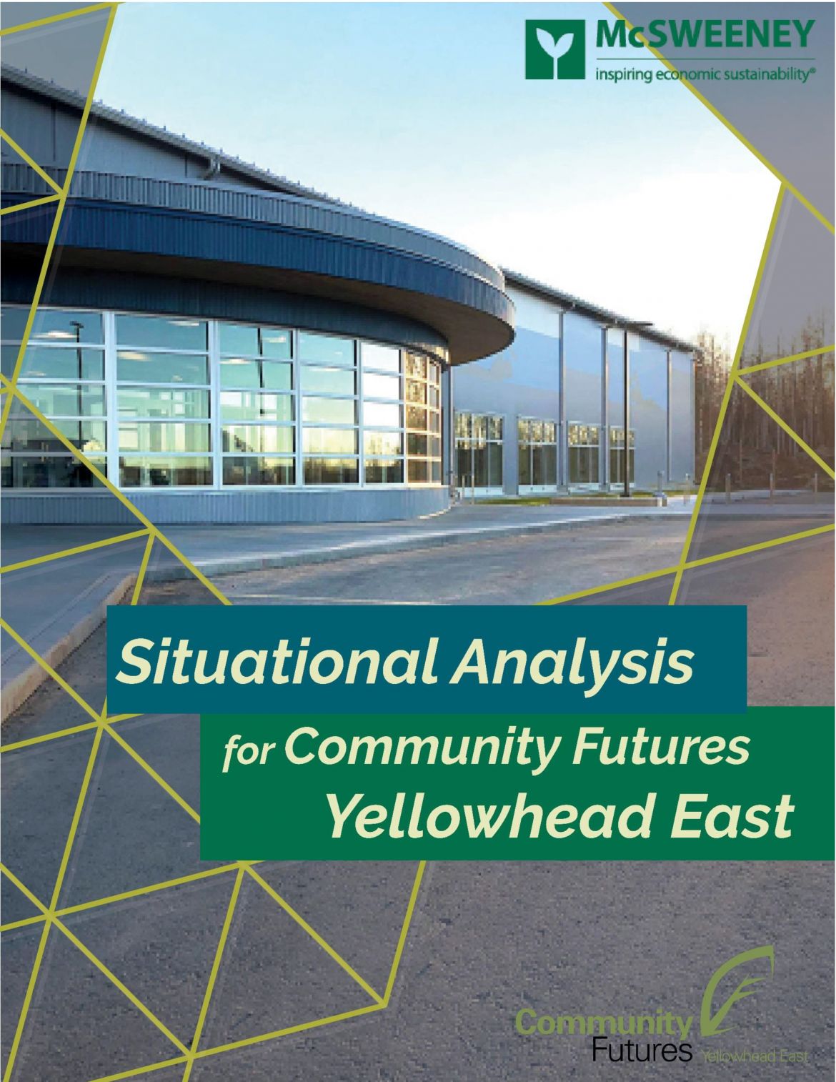 situational analysis cover